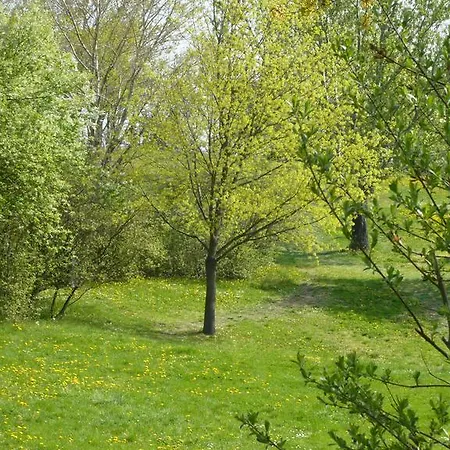 Hotel Good Gmbh 3*