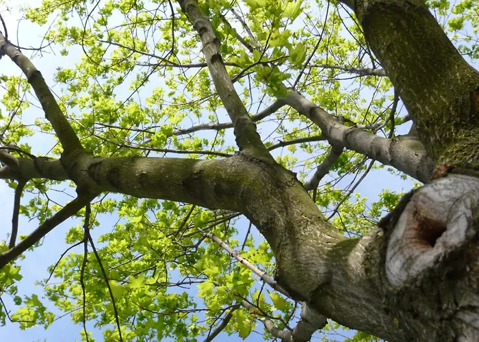 Good Gmbh Hotel Guntramsdorf