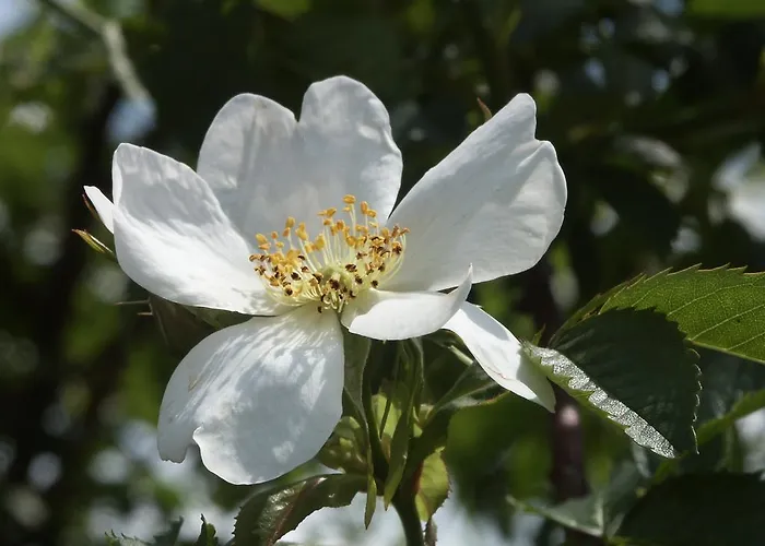 Hotel Good Gmbh Guntramsdorf